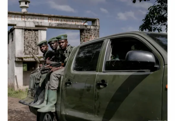 M23 Cria Sistema Judicial Paralelo no Kivu Norte - RDC